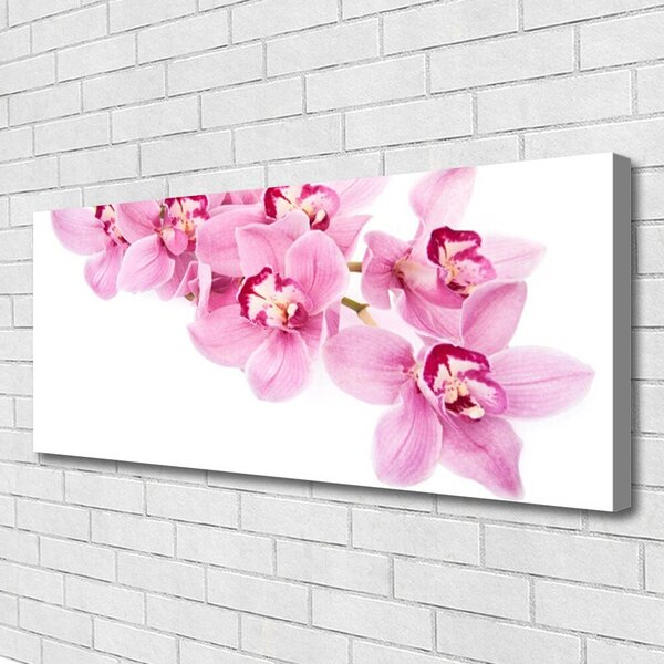Tablou pe panza canvas Flori roz Floral