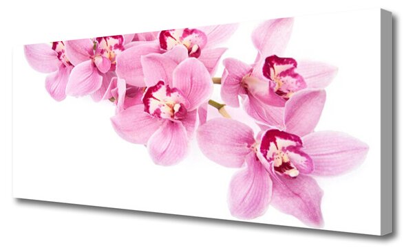Tablou pe panza canvas Flori roz Floral