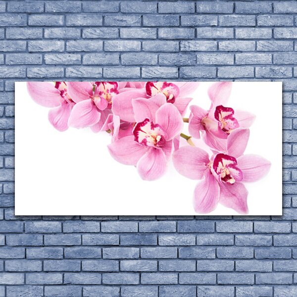 Tablou pe panza canvas Flori roz Floral
