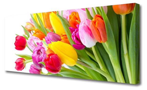 Tablou pe panza canvas Lalele Floral Multi