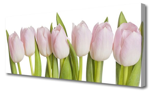 Tablou pe panza canvas Lalele Floral Roz Verde