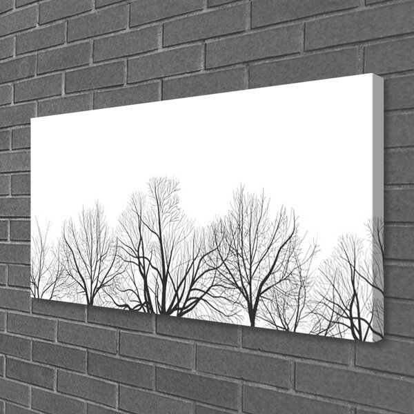 Tablou pe panza canvas Copaci Natura negru