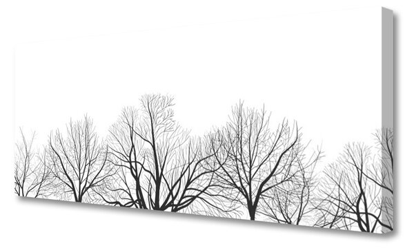 Tablou pe panza canvas Copaci Natura negru