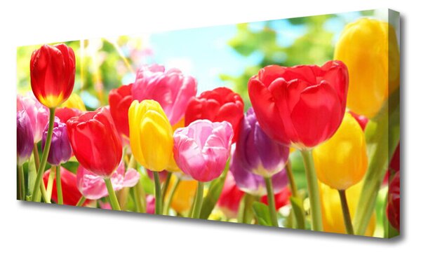 Tablou pe panza canvas Lalele Floral Roșu Galben