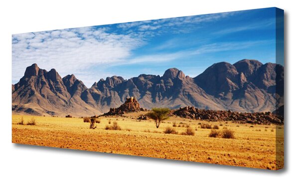 Tablou pe panza canvas Desert Peisaj Galben Maro