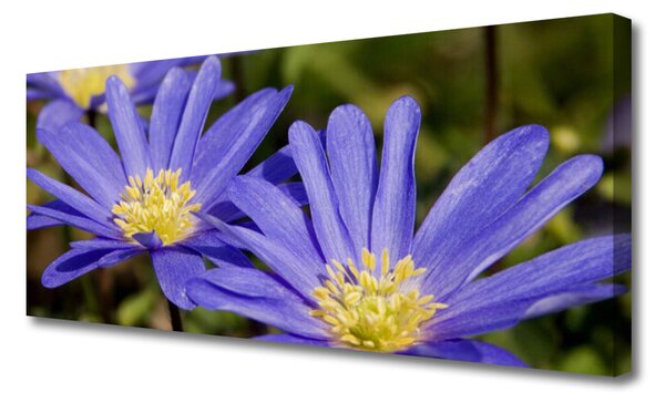 Tablou pe panza canvas Flori Floral violet