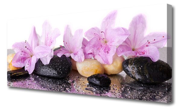 Tablou pe panza canvas Pietrele florale flori roz negru