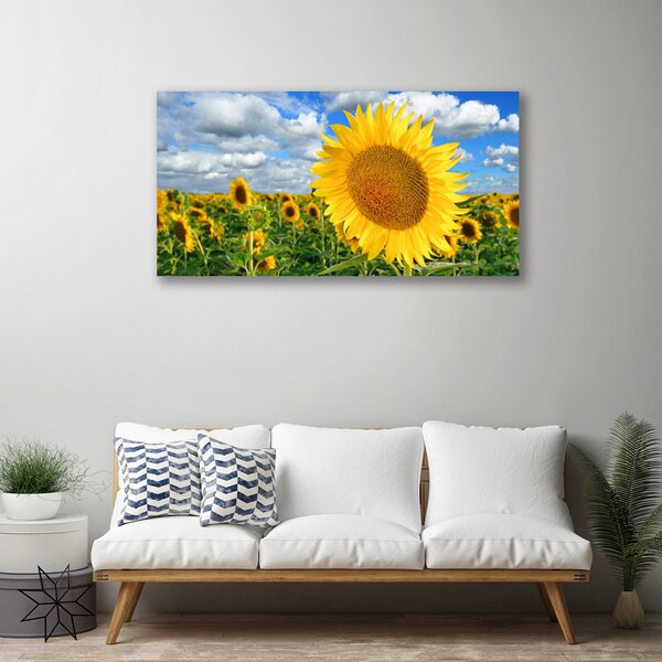 Tablou pe panza canvas Floarea soarelui Floral Galben Maro