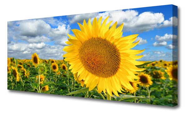 Tablou pe panza canvas Floarea soarelui Floral Galben Maro