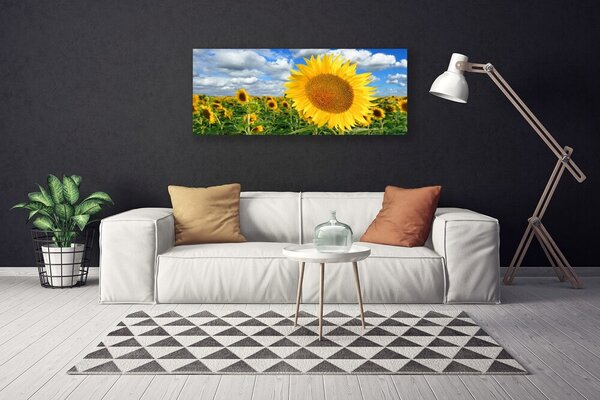 Tablou pe panza canvas Floarea soarelui Floral Galben Maro