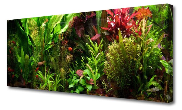 Tablou pe panza canvas Plante Natura Verde Portocaliu