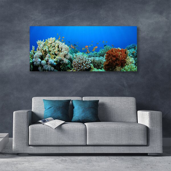 Tablou pe panza canvas Coral Reef Natura Multi