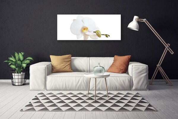 Tablou pe panza canvas Florale flori albe
