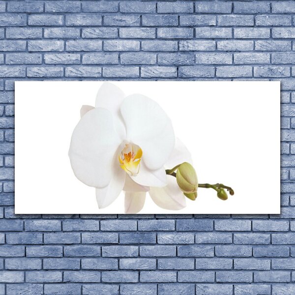 Tablou pe panza canvas Florale flori albe