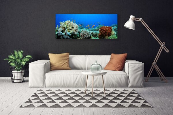 Tablou pe panza canvas Coral Reef Natura Multi