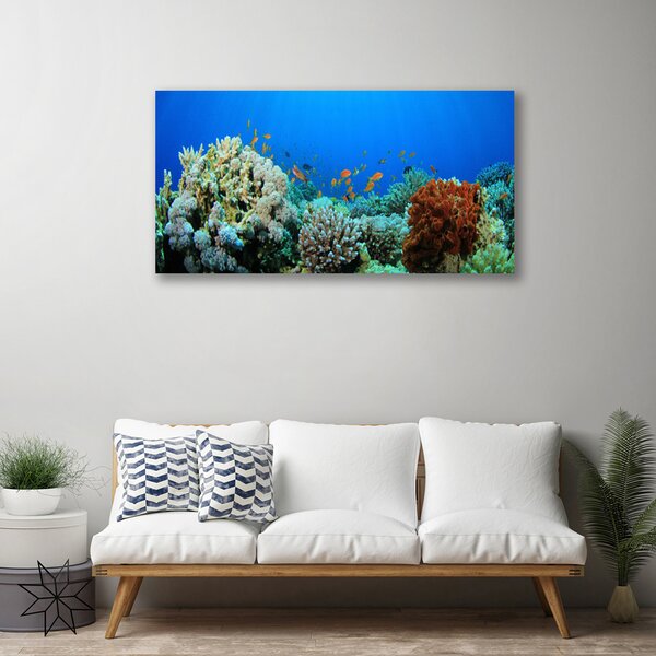 Tablou pe panza canvas Coral Reef Natura Multi