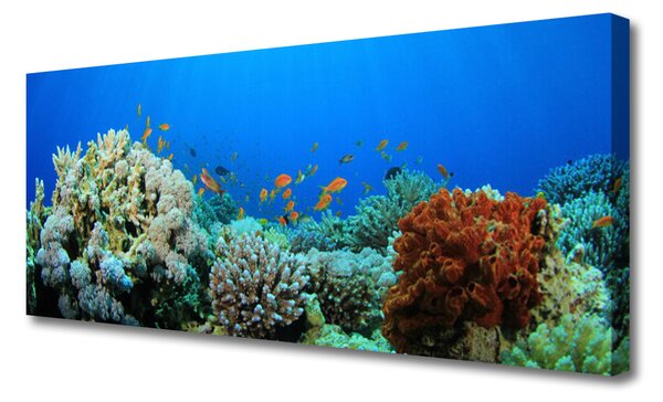 Tablou pe panza canvas Coral Reef Natura Multi