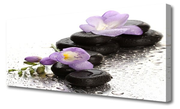 Tablou pe panza canvas Pietrele de flori Arta roz negru