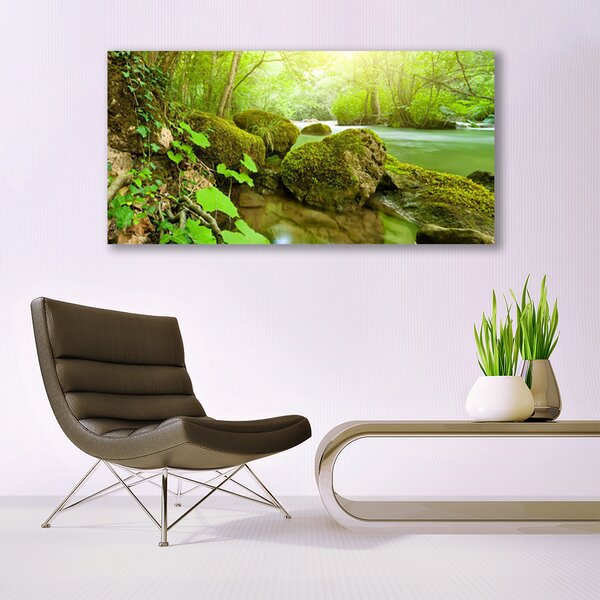 Tablou pe panza canvas Lacul Pietrele Natura verde