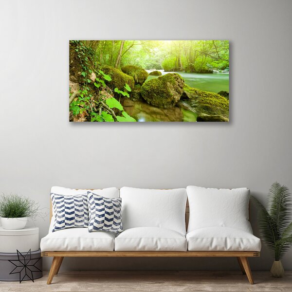 Tablou pe panza canvas Lacul Pietrele Natura verde