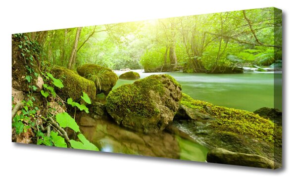 Tablou pe panza canvas Lacul Pietrele Natura verde