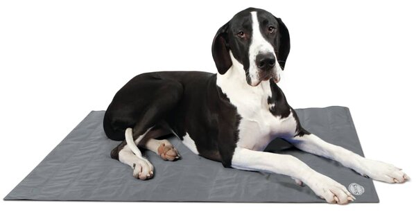 Scruffs & Tramps Pătură termică pentru câine Gri Mărime XL 2719