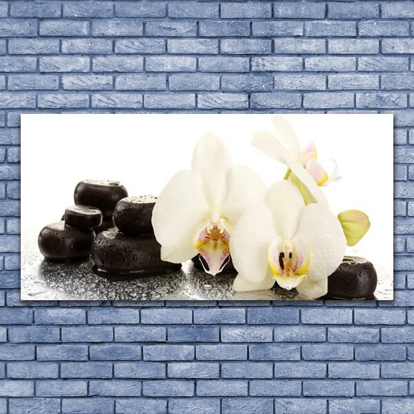 Tablou pe panza canvas Pietre florale flori alb negru