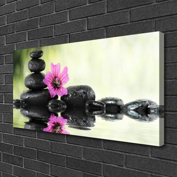Tablou pe panza canvas Pietrele de flori Arta roz negru
