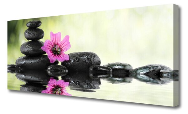 Tablou pe panza canvas Pietrele de flori Arta roz negru