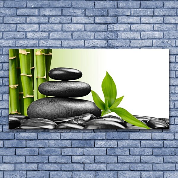 Tablou pe sticla Bamboo coceni de pietre Arta Verde Negru