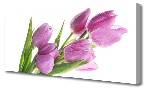 Tablou pe panza canvas Lalele Floral Roz Verde