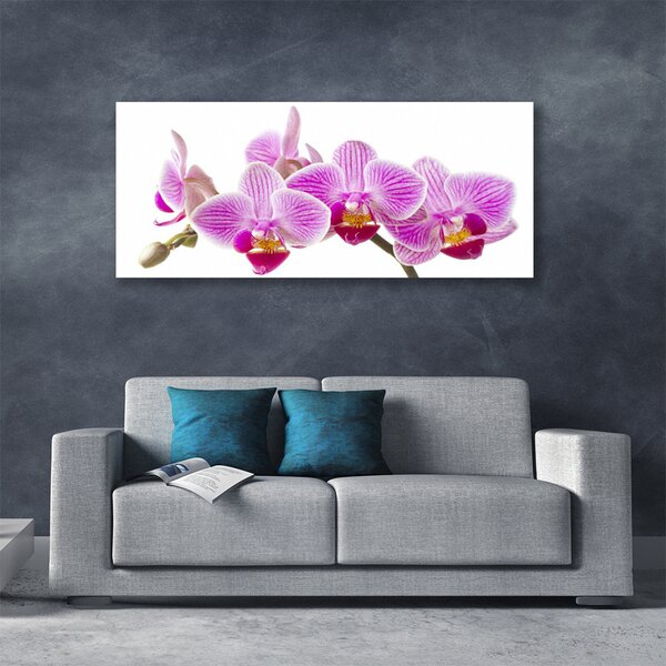 Tablou pe panza canvas Flori roz Floral
