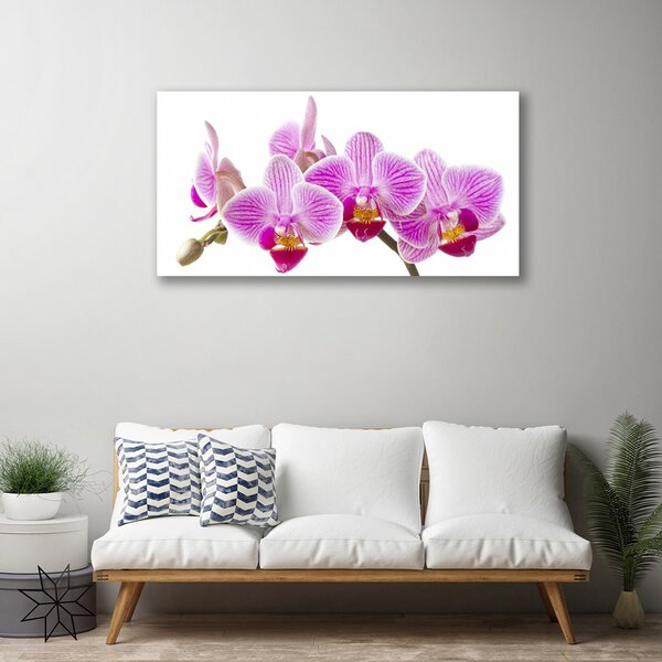 Tablou pe panza canvas Flori roz Floral