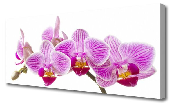 Tablou pe panza canvas Flori roz Floral