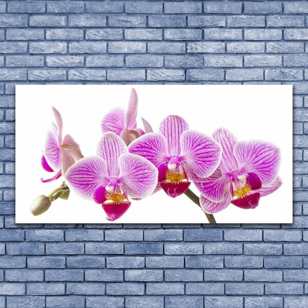 Tablou pe panza canvas Flori roz Floral