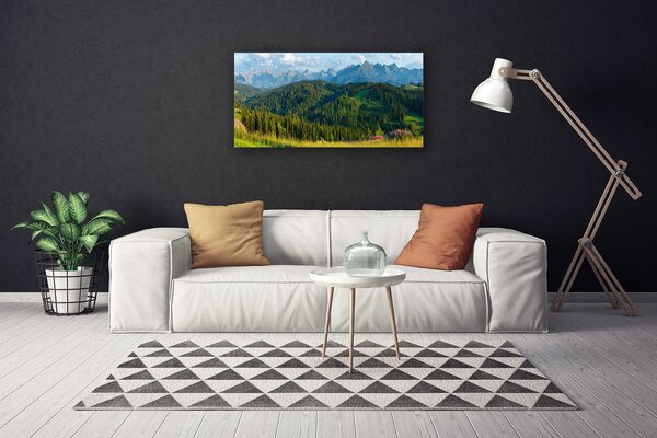 Tablou pe panza canvas Mountain Natural Pădurea Verde