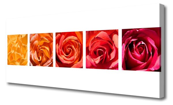 Tablou pe panza canvas Trandafiri Floral Galben Portocaliu Roșu