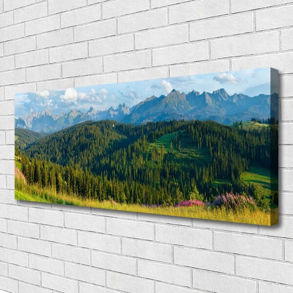 Tablou pe panza canvas Mountain Natural Pădurea Verde