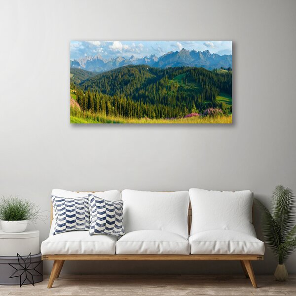 Tablou pe panza canvas Mountain Natural Pădurea Verde
