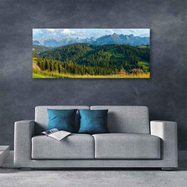 Tablou pe panza canvas Mountain Natural Pădurea Verde