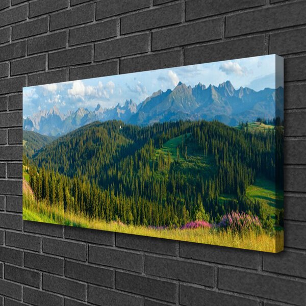 Tablou pe panza canvas Mountain Natural Pădurea Verde