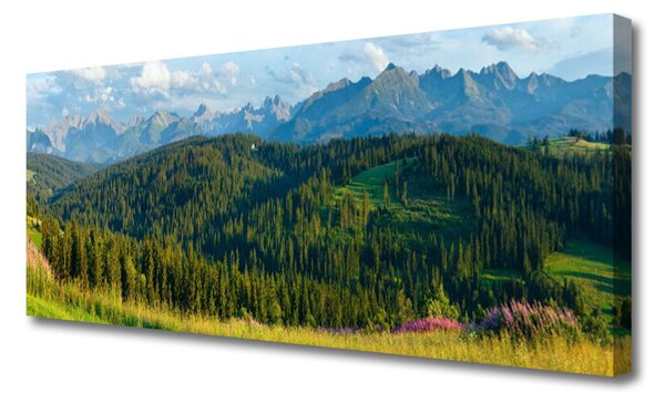 Tablou pe panza canvas Mountain Natural Pădurea Verde