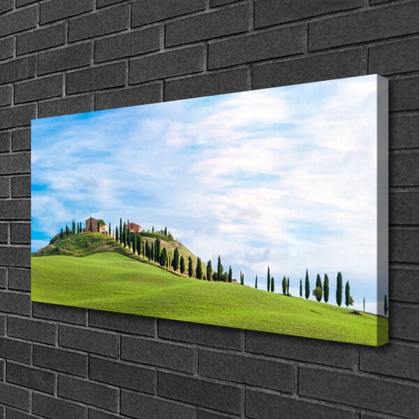 Tablou pe panza canvas Meadow Copaci Peisaj verde
