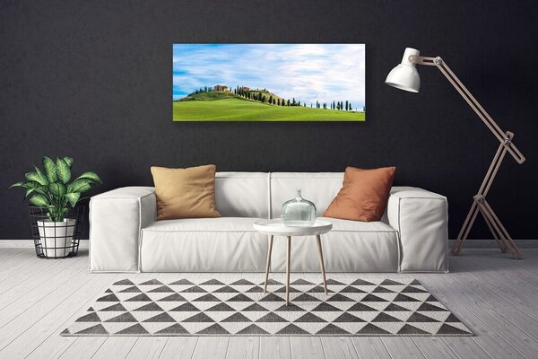 Tablou pe panza canvas Meadow Copaci Peisaj verde