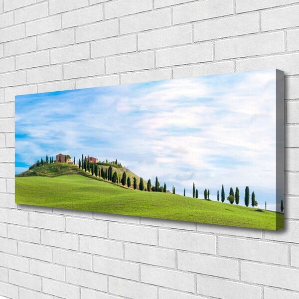 Tablou pe panza canvas Meadow Copaci Peisaj verde