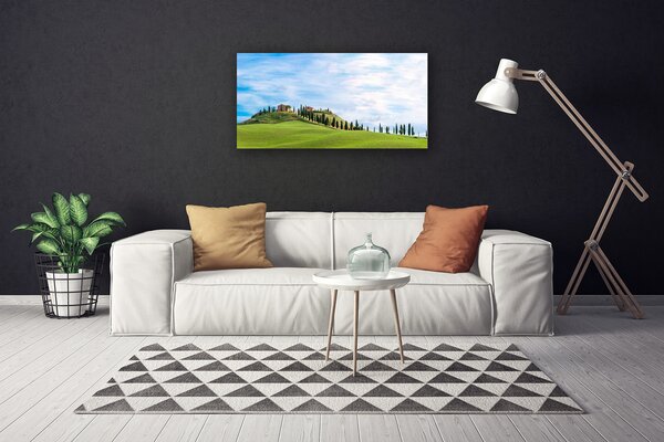 Tablou pe panza canvas Meadow Copaci Peisaj verde