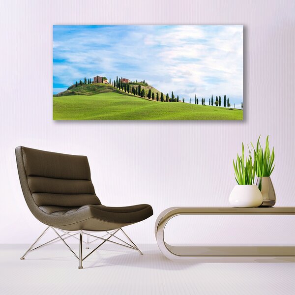 Tablou pe panza canvas Meadow Copaci Peisaj verde