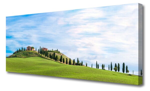 Tablou pe panza canvas Meadow Copaci Peisaj verde
