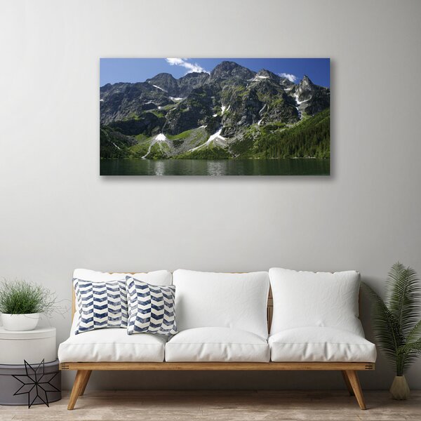 Tablou pe panza canvas Munții Lake Forest Peisaj Verde Gri