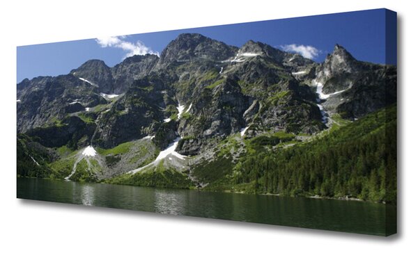 Tablou pe panza canvas Munții Lake Forest Peisaj Verde Gri